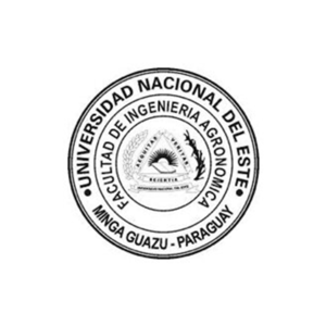 Universidad Nacional del Este