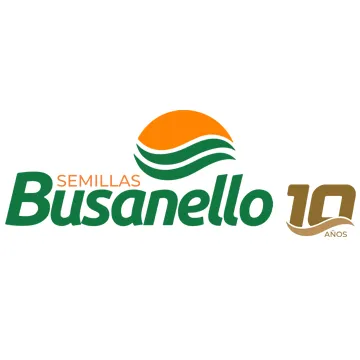 Logo Busanello