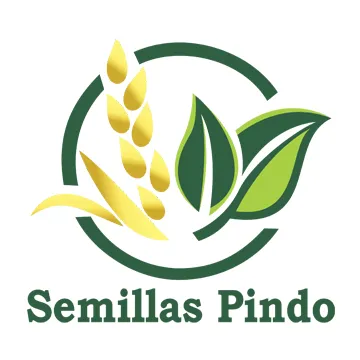 Logo Semillas Pindo